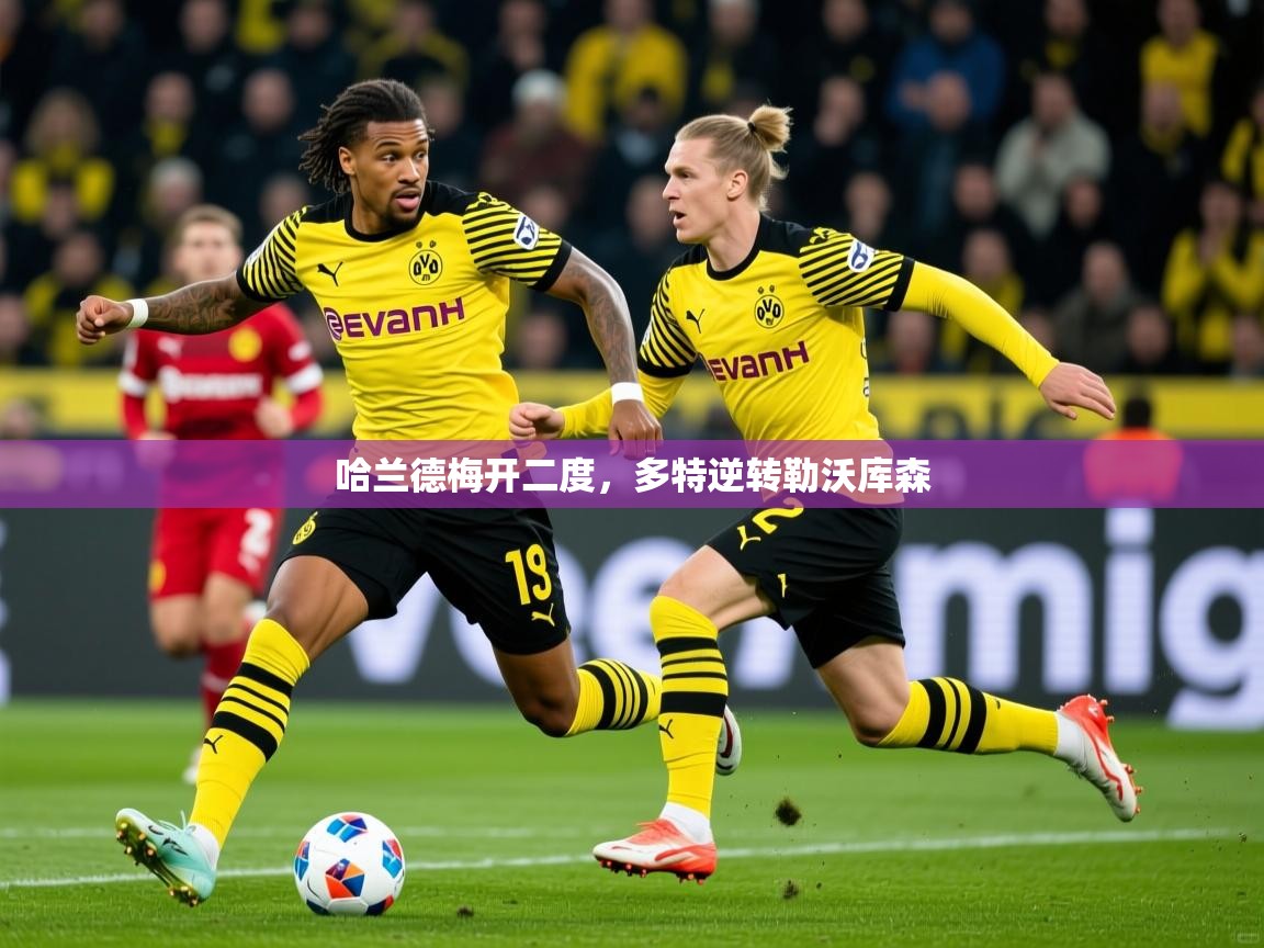 2026火狐体育app哈兰德梅开二度,多特逆转勒沃库森